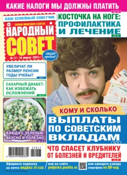 Народный совет 17 2024 