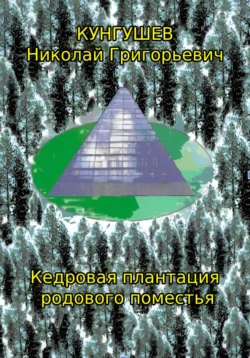 Кедровая плантация родового поместья, Николай Кунгушев