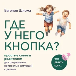 Где у него кнопка? Простые советы родителям для разрешения непростых ситуаций с детьми, Евгения Шлома