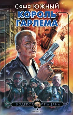 Король Гарлема, Саша Южный