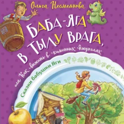 Баба-яга в тылу врага  или Как выжить в каменных джунглях Ольга Несмеянова