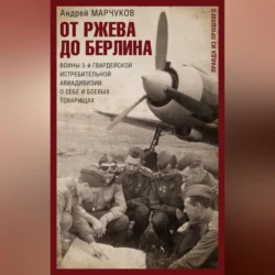 От Ржева до Берлина. Воины 3-й гвардейской истребительной авиадивизии о себе и боевых товарищах, Андрей Марчуков