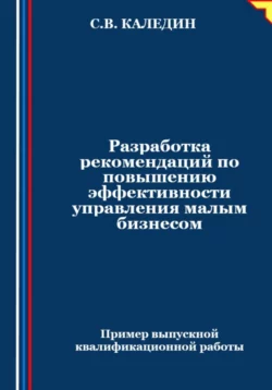 Разработка рекомендаций по повышению эффективности управления малым бизнесом, Сергей Каледин