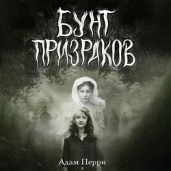 Бунт призраков, Адам Перри