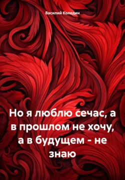 Но я люблю сечас  а в прошлом не хочу  а в будущем – не знаю Василий Коледин