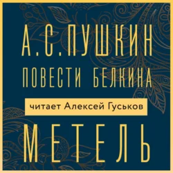 Метель, Александр Пушкин