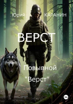 Верст. Позывной «Верст», Юрий КАРАНИН