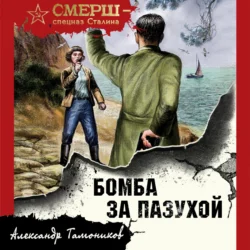 Бомба за пазухой Александр Тамоников