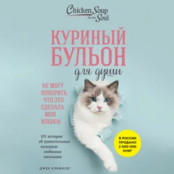 Куриный бульон для души. Не могу поверить, что это сделала моя кошка! 101 история об удивительных выходках любимых питомцев, Джек Кэнфилд