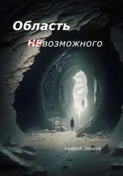 Область (не)возможного, Андрей Зенков