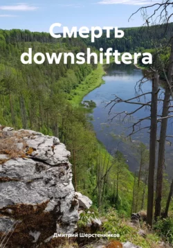 Смерть downshiftera, Дмитрий Шерстенников