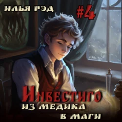 Инвестиго. Из медика в маги. Том 4, Илья Рэд