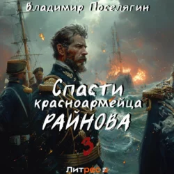 Спасти красноармейца Райнова. Книга третья. Лето Владимир Поселягин