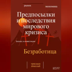 Предпосылки и последствия мирового кризиса, Николай Трясцын