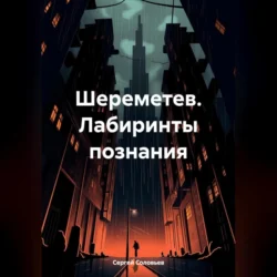 Шереметев. Лабиринты познания, Сергей Соловьев