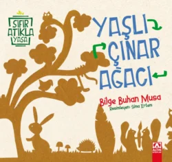 SIFIR ATIKLA YASA – YASLI ÇINAR AGACI, BILGE BUHAN MUSA