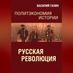 Русская революция. Политэкономия истории, Василий Галин