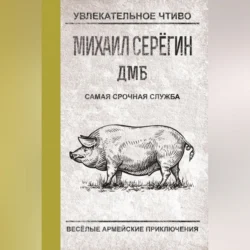 Самая срочная служба, Михаил Серегин