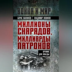 Миллионы снарядов, миллиарды патронов. Оружие для Победы, Владимир Новиков