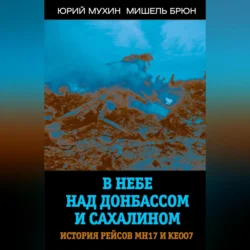 В небе над Донбассом и Сахалином. История рейсов МН17 и КЕ007, Юрий Мухин