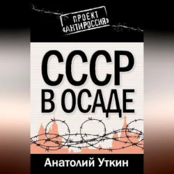 СССР в осаде, Анатолий Уткин