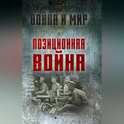 Позиционная война, Алексей Ардашев