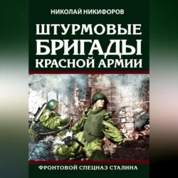 Штурмовые бригады Красной армии. Фронтовой спецназ Сталина Николай Никифоров