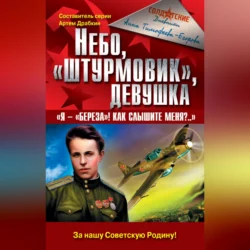 Небо, «штурмовик», девушка. «Я – „Береза!“ Как слышите меня?.., Анна Тимофеева-Егорова