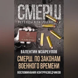 СМЕРШ. По законам военного времени, Валентин Мзареулов