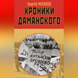 Хроники Даманского, Андрей Мусалов