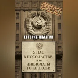 У нас в посольстве  или дипломаты тоже люди! Евгений Шмагин