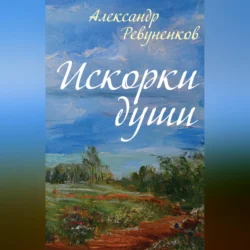 Искорки души, Александр Ревуненков