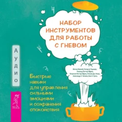 Набор инструментов для работы с гневом: быстрые навыки для управления сильными эмоциями и сохранения спокойствия, Рональд Поттер-Эфрон