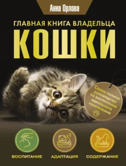 Главная книга владельца кошки, Анна Орлова