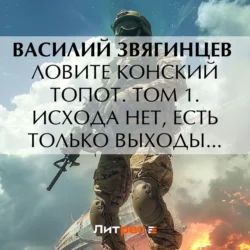 Ловите конский топот. Том 1. Исхода нет, есть только выходы…, Василий Звягинцев