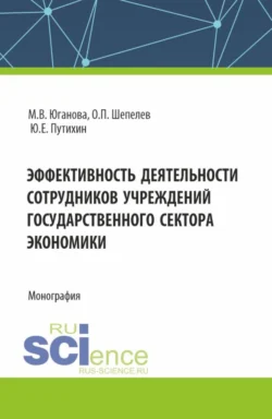 Эффективность деятельности сотрудников учреждений государственного сектора экономики. (Аспирантура, Бакалавриат, Магистратура). Монография., Ольга Шепелева