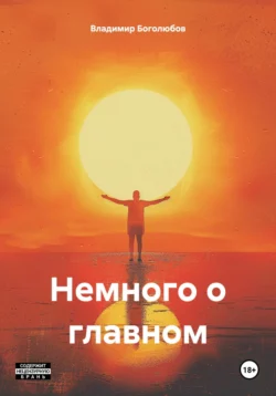 Немного о главном, Владимир Боголюбов