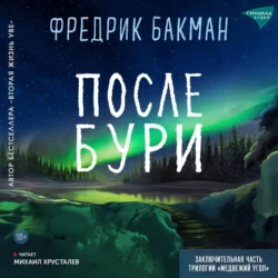 После бури, Фредрик Бакман