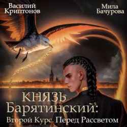 Князь Барятинский 9. Второй Курс. Перед рассветом Мила Бачурова и Василий Криптонов