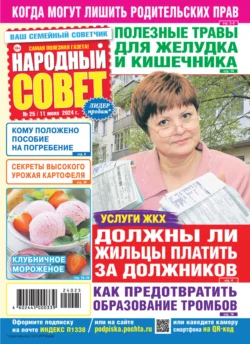 Народный совет 25 2024 