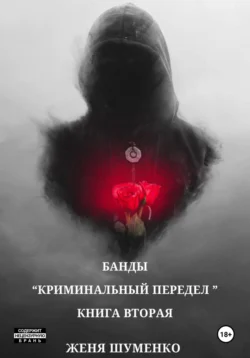 Банды: Криминальный передел. Книга вторая, Женя Шуменко