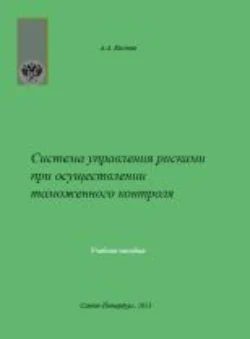 Система управления рисками при осуществлении таможенного контроля, Алексей Костин