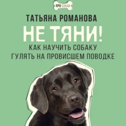 Не тяни! Как научить собаку гулять на провисшем поводке, Татьяна Романова