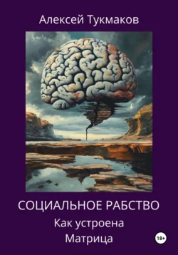 Социальное рабство: Как устроена Матрица Алексей Тукмаков