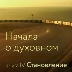 Начала о духовном. Книга IV. Становление Крылья Совершенства