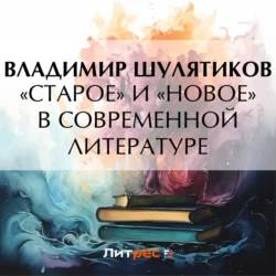 «Старое» и «новое» в современной литературе, Владимир Шулятиков