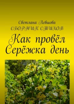 Как провёл Серёжка день, Светлана Левшова