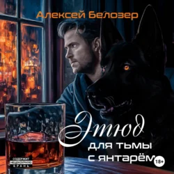 Этюд для тьмы с янтарём, Алексей Белозер