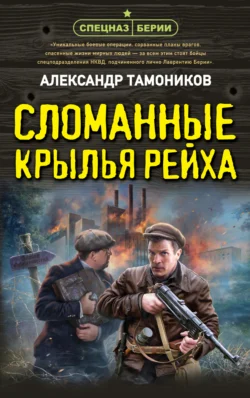 Сломанные крылья рейха, Александр Тамоников