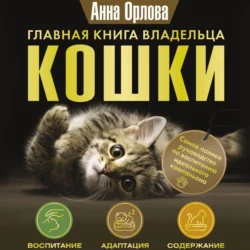 Главная книга владельца кошки, Анна Орлова